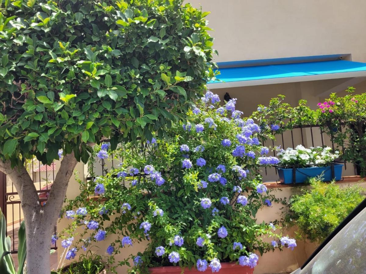 My Little House - Appartamento Con Patio E Parcheggio Privato A 5 Minuti Dalla Spiaggia E Dal Centro Tropea Luaran gambar