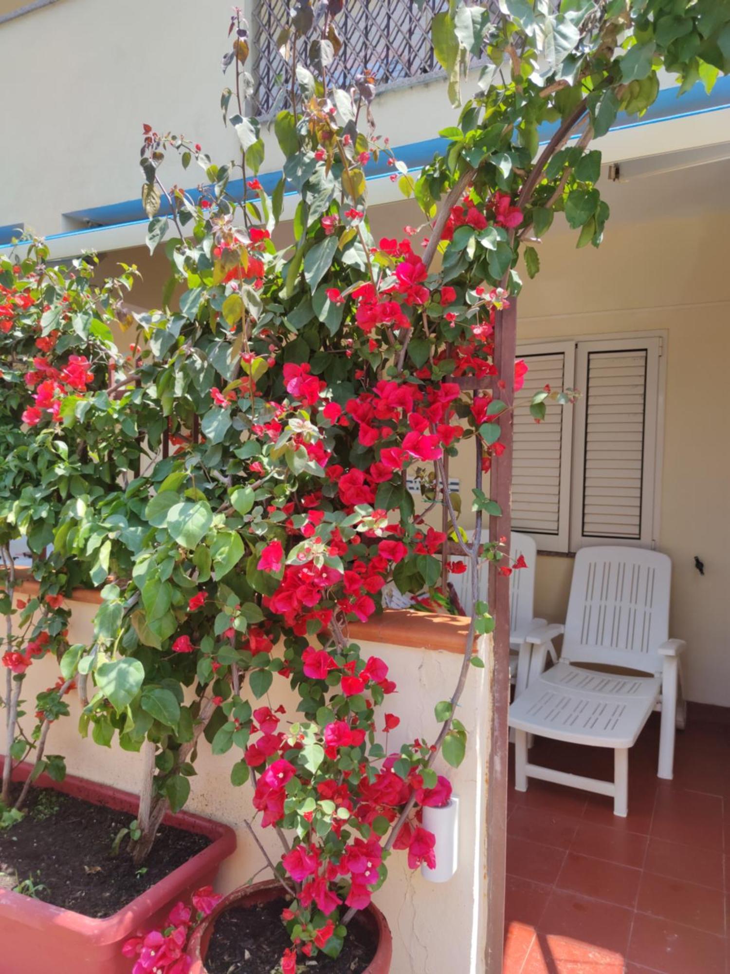 My Little House - Appartamento Con Patio E Parcheggio Privato A 5 Minuti Dalla Spiaggia E Dal Centro Tropea Luaran gambar